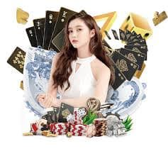 h19vn